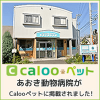 calooペットに掲載されました