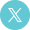 公式X