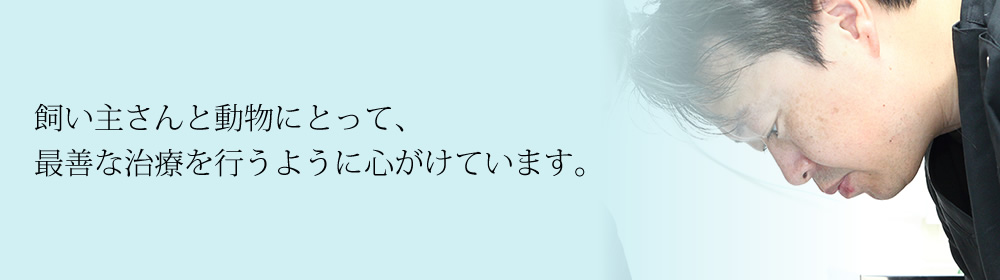 飼い主さんと動物にとって､最善な治療を行うように心がけています｡